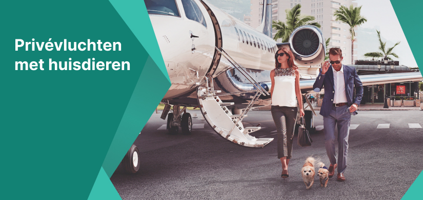 Privéjetvlucht met een hond of een kat